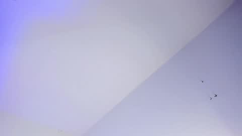 Snapshot of logan_west1 chatting on October 16, 2025, 8:04 am Logan online show from October 16, 2025, 8:04 am