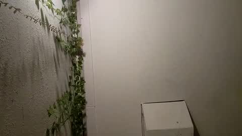 longdick3587 online show from February 17, 2025, 5:14 am