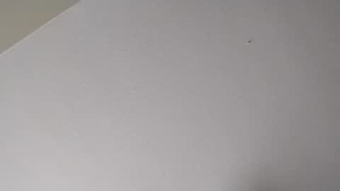 Mr. FogoDeChao online show from January 16, 2026, 11:09 pm