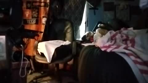 Mr. FogoDeChao online show from March 5, 2026, 5:31 pm