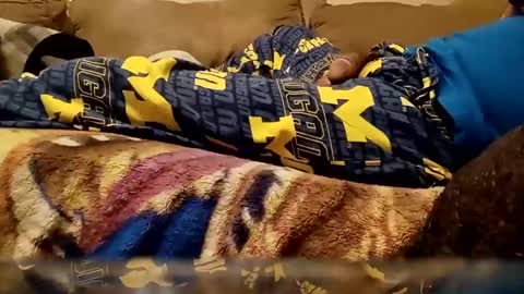 looking4bush online show from December 25, 2024, 10:59 pm