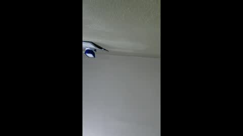 Snapshot of lopezpedro2791 chatting on January 8, 2026, 5:10 am 2791 3D online show from January 8, 2026, 5:10 am