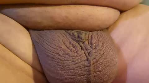 2791 3D online show from April 14, 2026, 10:27 pm