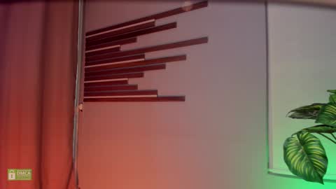 Snapshot of lordeborah1 chatting on December 21, 2024, 4:57 pm Deborah Daz online show from December 21, 2024, 4:57 pm