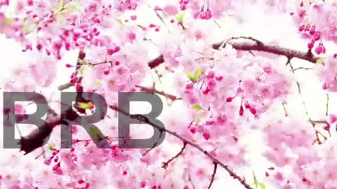 Snapshot of lorraine_baker chatting on June 9, 2026, 7:58 pm Lorraine online show from June 9, 2026, 7:58 pm