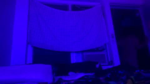 Snapshot of lostndapacific chatting on December 28, 2024, 10:36 am lostndapacific online show from December 28, 2024, 10:36 am