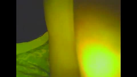 PleasureX online show from March 6, 2025, 8:30 am