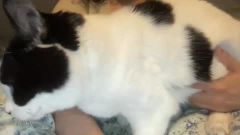 Snapshot of loveablekate chatting on March 1, 2026, 12:40 pm Kate online show from March 1, 2026, 12:40 pm