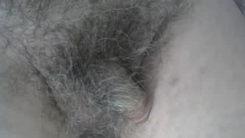 Snapshot of loveabush49 chatting on November 5, 2025, 8:53 pm loveabush49 online show from November 5, 2025, 8:53 pm