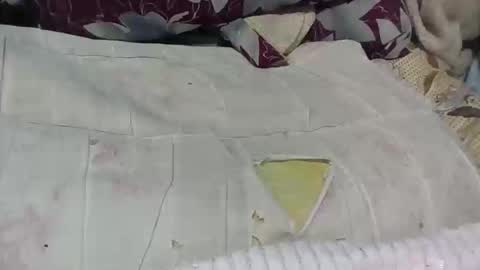 loveinlife750427 online show from April 15, 2026, 2:46 pm