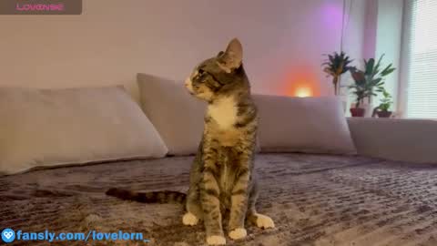 Snapshot of lovelorn_ chatting on October 22, 2025, 11:54 am Elsa online show from October 22, 2025, 11:54 am