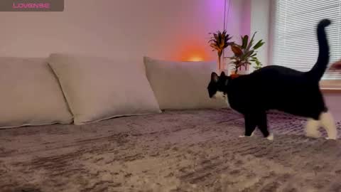 Snapshot of lovelorn_ chatting on October 23, 2025, 6:34 am Elsa online show from October 23, 2025, 6:34 am