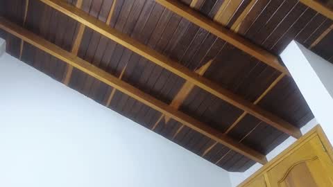 Trix online show from January 20, 2025, 11:45 am