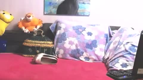 Snapshot of loveykiss77 chatting on October 31, 2025, 10:33 pm Anna online show from October 31, 2025, 10:33 pm