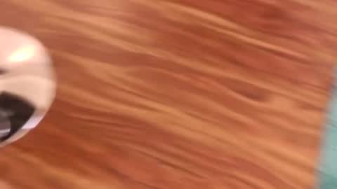 Snapshot of lovingcouple1969 chatting on February 7, 2026, 2:21 pm lovingcouple1969 online show from February 7, 2026, 2:21 pm