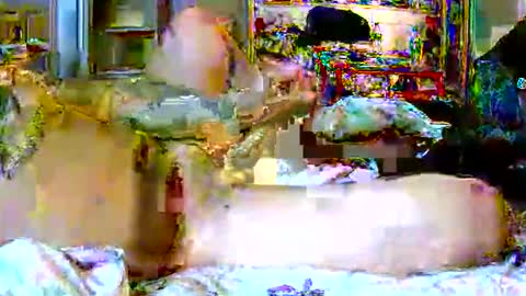 lucky134u online show from April 9, 2026, 2:55 am