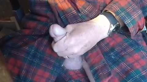 BIG Daddy cock. Tips make it harder  online show from May 23, 2026, 9:24 am