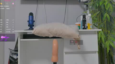 Alice online show from November 10, 2025, 8:08 pm