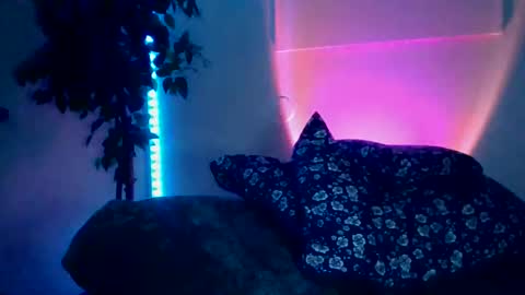 Snapshot of luisjg24hrs chatting on May 18, 2026, 8:42 am luisjg24hrs online show from May 18, 2026, 8:42 am