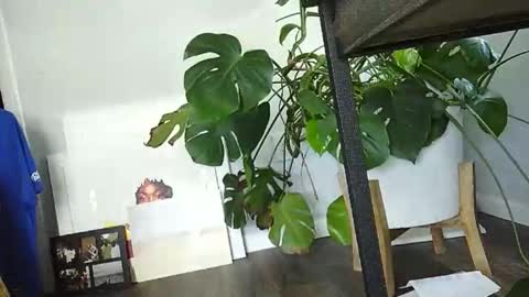 Snapshot of lukesky222 chatting on March 15, 2026, 7:31 pm Luke online show from March 15, 2026, 7:31 pm