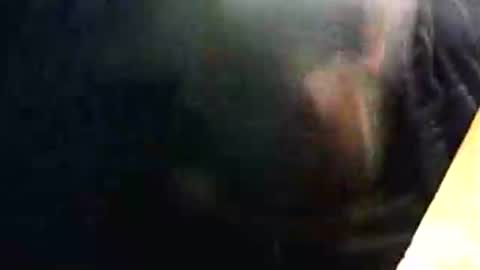 Snapshot of lukestarfckr chatting on February 15, 2026, 9:33 pm lukestarfckr online show from February 15, 2026, 9:33 pm