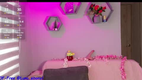 Snapshot of luna_ebony1 chatting on April 29, 2026, 2:54 pm Couple X online show from April 29, 2026, 2:54 pm