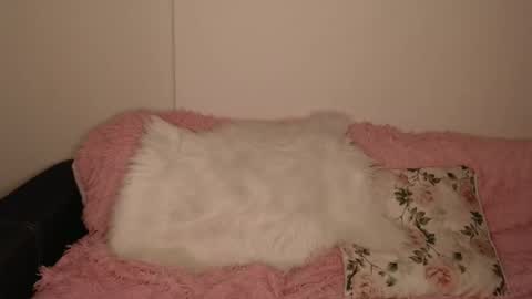 Snapshot of luna_moon77 chatting on February 13, 2026, 6:15 pm Luna online show from February 13, 2026, 6:15 pm