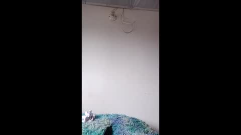 luna ember online show from December 21, 2025, 4:36 pm