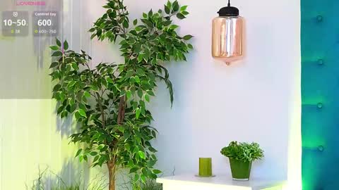 Luna online show from November 26, 2025, 6:14 am