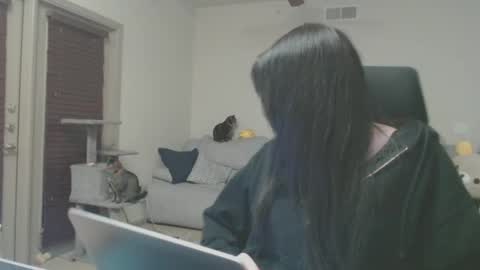 LustfulLives online show from February 11, 2025, 12:49 am