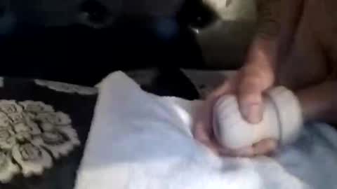 luvbiga554evr online show from November 5, 2025, 4:51 pm