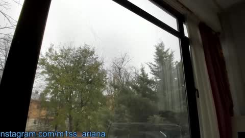 Ariana online show from December 6, 2024, 11:44 am