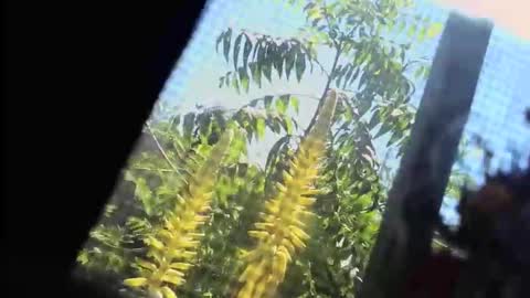 SLoppYxXPeeHoLeXxGspotxX online show from February 22, 2026, 7:34 pm