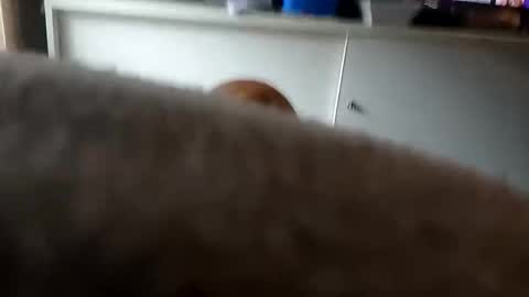 MACE online show from September 26, 2025, 9:41 pm