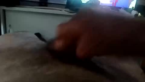 MACE online show from December 16, 2025, 7:30 pm