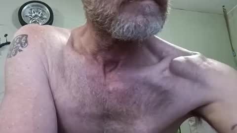 Snapshot of mackdog1369 chatting on February 19, 2026, 9:33 pm mackdog1369 online show from February 19, 2026, 9:33 pm