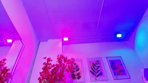 Snapshot of maddie_t18 chatting on February 4, 2026, 11:42 pm maddie_t18 online show from February 4, 2026, 11:42 pm