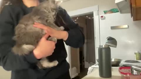 Snapshot of maddyhasyummypussy chatting on December 15, 2025, 12:48 am maddyhasyummypussy online show from December 15, 2025, 12:48 am