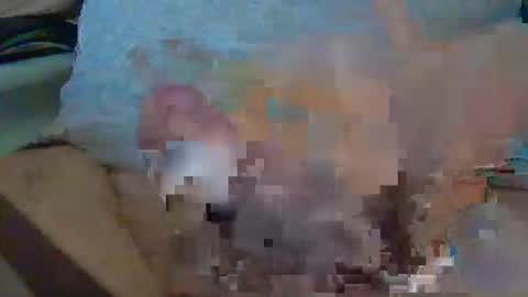 Snapshot of madmax98 chatting on December 16, 2025, 1:05 pm Max online show from December 16, 2025, 1:05 pm