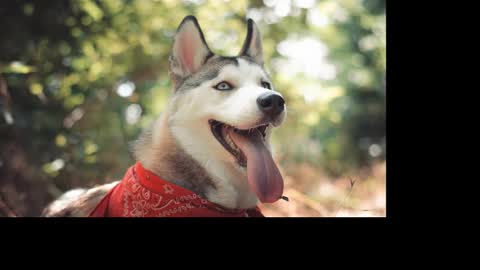 magic_katarina_ online show from January 25, 2025, 2:36 pm