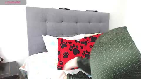 Snapshot of magic_stephany__ chatting on February 4, 2026, 1:28 pm magic_stephany__ online show from February 4, 2026, 1:28 pm