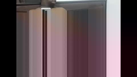 maheel84 online show from January 11, 2026, 5:29 pm