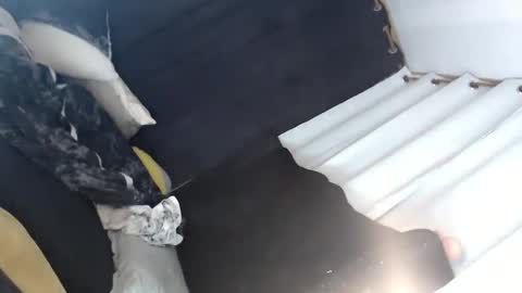 Snapshot of majestic_princesslei chatting on January 12, 2025, 7:11 am Lei online show from January 12, 2025, 7:11 am