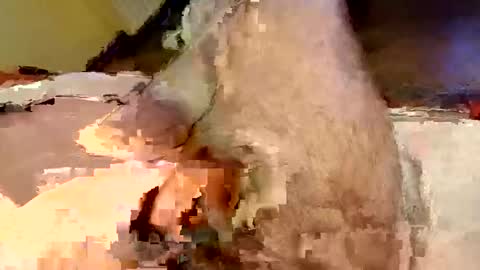 mako998843 online show from February 15, 2026, 7:32 pm