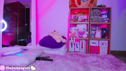 Snapshot of mangoshake_ chatting on April 6, 2026, 5:30 am Manguito online show from April 6, 2026, 5:30 am