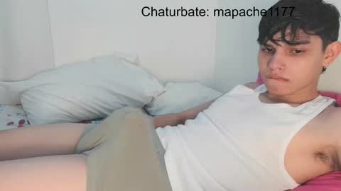 Snapshot of mapache1177 chatting on May 10, 2026, 2:28 am mapache1177 online show from May 10, 2026, 2:28 am