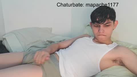 Snapshot of mapache1177 chatting on May 16, 2026, 3:36 am mapache1177 online show from May 16, 2026, 3:36 am