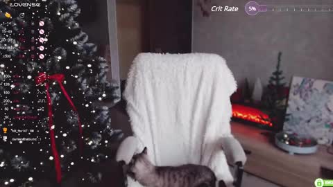 Marcy online show from December 5, 2024, 6:10 am