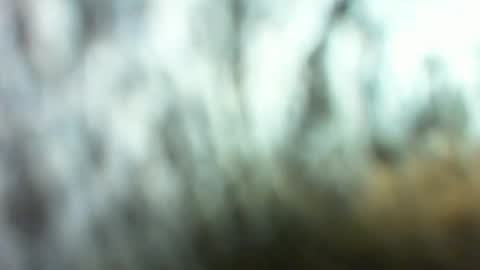 Marc online show from March 26, 2026, 2:28 am