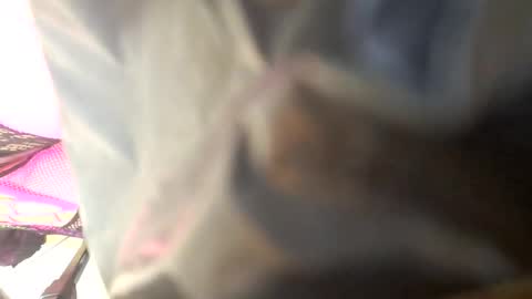 Snapshot of maria666cd chatting on October 4, 2025, 8:45 am Maria Magdalena online show from October 4, 2025, 8:45 am